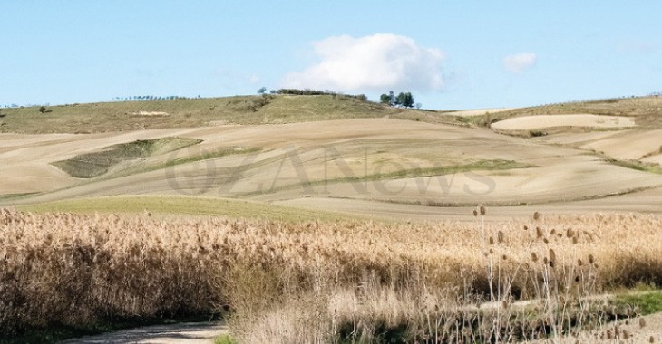 Foto allegata