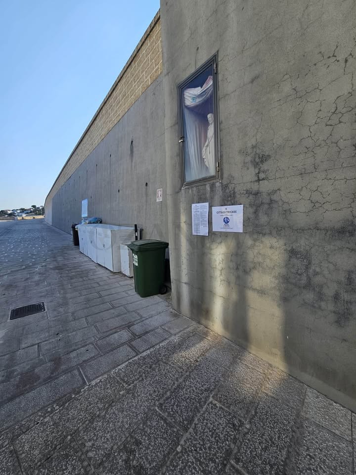 Foto allegata