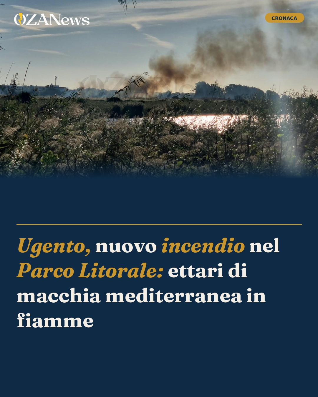 Foto: Ugento, nuovo incendio nel Parco Litorale: ettari di macchia mediterranea in fiamme