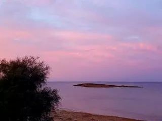 🌧️ Buongiorno amici di Ozanews!
Oggi, 16 ottobre 2025: pioggia moderata e cielo coperto su Ugento, Gemini e Torre San Giovanni.
🌡️ Temp: tra 16,9°C e 18,7°C
💧 Umidità: 74%
🌬️ Vento: 9,5 km/h
Ricordate l'ombrello!
Curiosità storia: oggi nel 1964 la Cina fece il suo primo test nucleare.
Grazie a Rosina Preite per le meravigliose foto di Torre San Giovanni!
Seguiteci per altre news, curiosità e storie locali!
#Ozanews #meteo #storia #curiosità #pioggia #TorreSanGiovanni
https://ozanews.it/