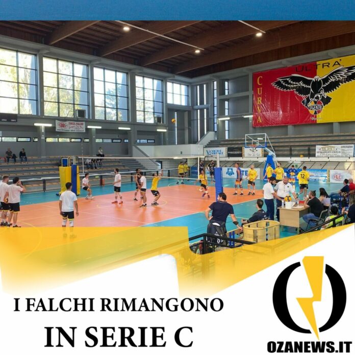 falchi serie c