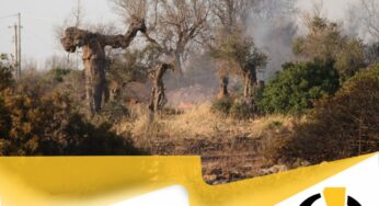 La nostra terra brucia, ma dobbiamo ricostruire￼