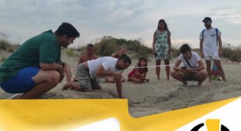 Trovato il primo nido di tartaruga marina di Torre San Giovanni
