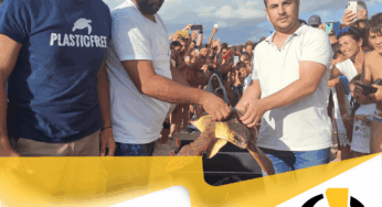 Liberate 2 tartarughe a Torre San Giovanni – IL VIDEO