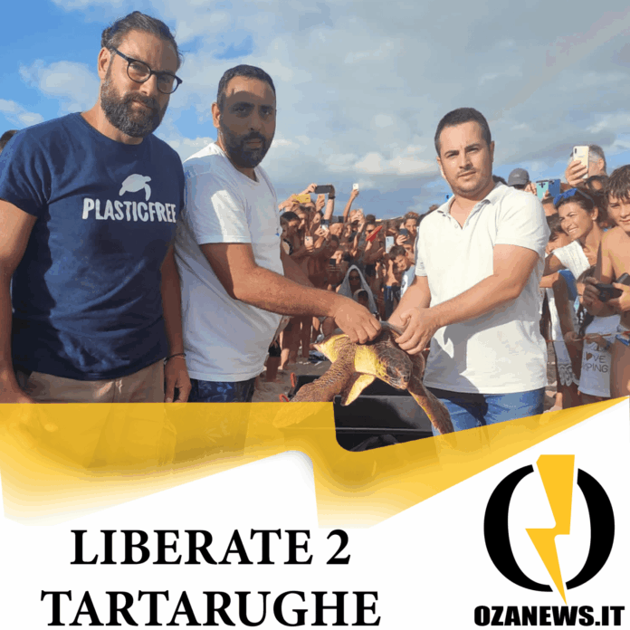liberate 2 tartarughe a torre san giovanni