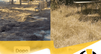 Ripensare il futuro del parco Ozaland Via Teano: una sfida per Ugento