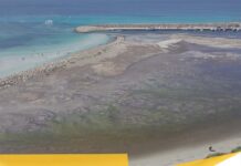 Tiziano Esposito lancia l’allarme sul porto di Torre San Giovanni