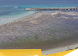 Tiziano Esposito lancia l’allarme sul porto di Torre San Giovanni