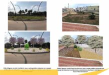 Il piano del verde fantasma nel comune di Ugento