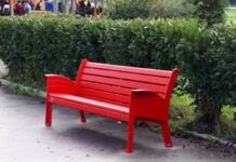 La legge “Codice Rosso”