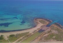 Il consiglio di stato condanna il Comune di Ugento annullata illegitimamemnte una licenza commerciale a lido marini