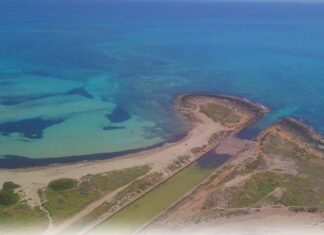 Il consiglio di stato condanna il Comune di Ugento annullata illegitimamemnte una licenza commerciale a lido marini