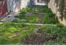 Emergenza Verde a Ugento: Il Piano del Verde tra Promesse e Realismo