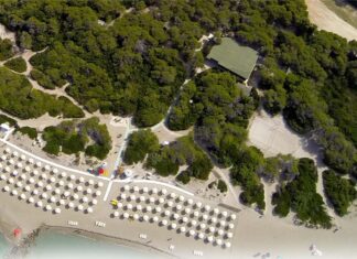 un nuovo gestore per la pineta di Ugento? un nuovo gestore per la pineta di ugento