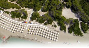 un nuovo gestore per la pineta di Ugento?