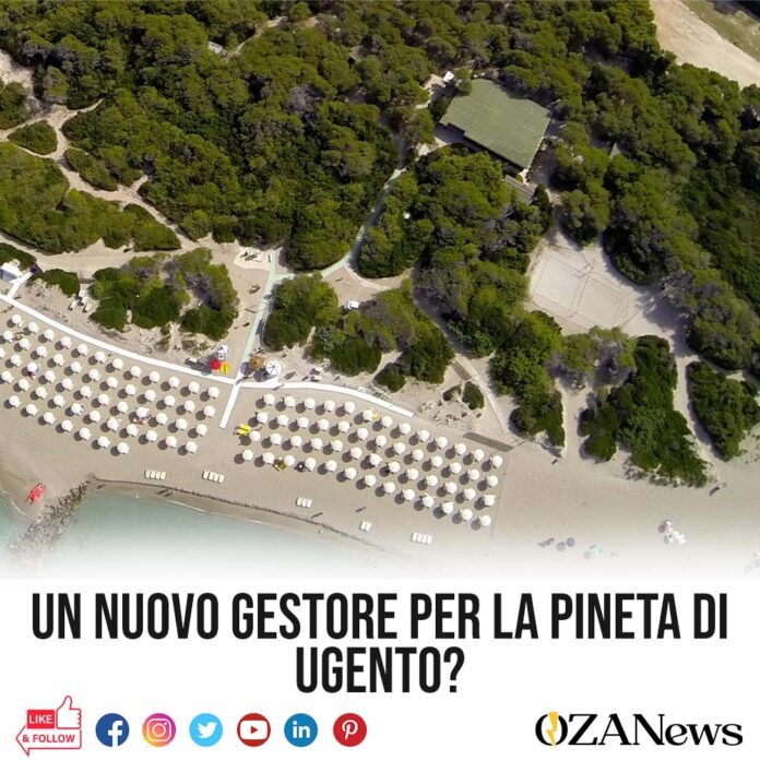 un nuovo gestore per la pineta di ugento