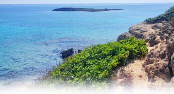 I nonni e la “conca” del mare