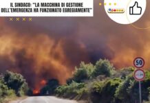 Ugento, quando la prevenzione funziona ma gli alberi bruciano lo stesso