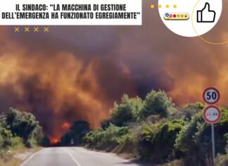 Ugento, quando la prevenzione funziona ma gli alberi bruciano lo stesso