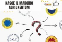 Ugento lancia il marchio “Agriuxentum” per valorizzare l’agricoltura e il turismo locale