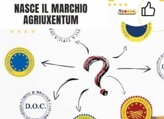 Ugento lancia il marchio “Agriuxentum” per valorizzare l’agricoltura e il turismo locale