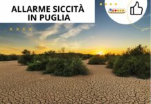 La Puglia è a secco, prepariamoci al peggio