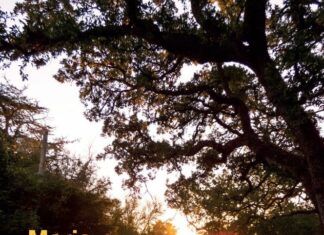 Un inno alla vita, alla fede, a non arrendersi mai: arriva il nuovo libro di Maria De Giovanni.