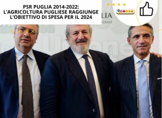 PSR Puglia 2014-2022: l’agricoltura pugliese raggiunge l’obiettivo di spesa per il 2024