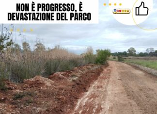 La storia si ripete nel parco di Ugento: nuovo scempio pubblico