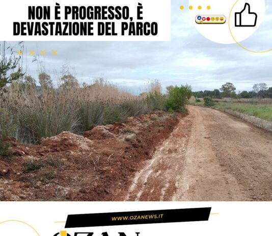 La storia si ripete nel parco di Ugento: nuovo scempio pubblico