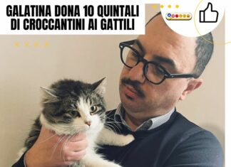 Galatina dona 10 quintali di croccantini ai gattili