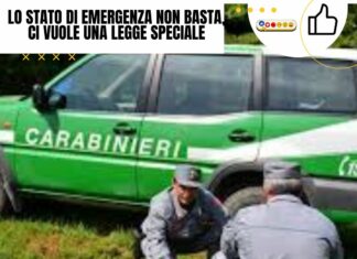 Ambiente e legalità: 5 nuovi droni per i Carabinieri Forestali
