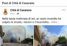 Dopo l’incendio il comunicato del sindaco di Casarano