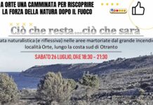 A Orte una camminata per riscoprire la forza della natura dopo il fuoco