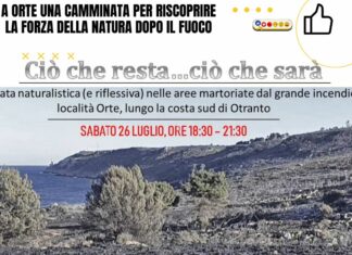A Orte una camminata per riscoprire la forza della natura dopo il fuoco