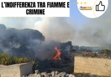 L’indifferenza tra fiamme e crimine