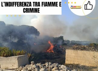L’indifferenza tra fiamme e crimine
