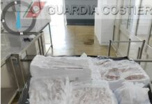 LA GUARDIA COSTIERA SANZIONA E SEQUESTRA 300 Kg DI PRODOTTO ITTICO ILLEGALE