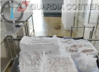 LA GUARDIA COSTIERA SANZIONA E SEQUESTRA 300 Kg DI PRODOTTO ITTICO ILLEGALE