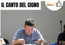 Il canto del cigno di Massimo Lecci