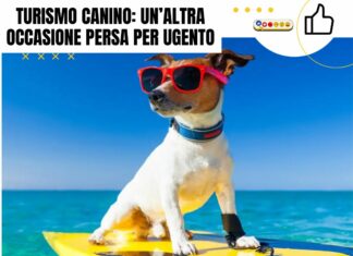 Turismo canino: un’altra occasione persa per Ugento