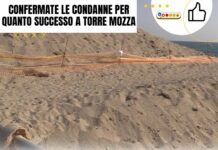 Cassazione: confermate le condanne per il deposito incontrollato di posidonia a Ugento