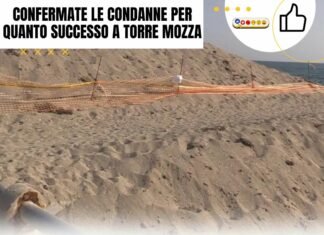 Cassazione: confermate le condanne per il deposito incontrollato di posidonia a Ugento