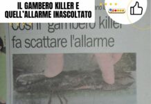 L’arrivo del gambero killer a Ugento e gli appelli inascoltati