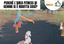 Area fitness di Gemini nell’incuria: chiarimenti dopo il video