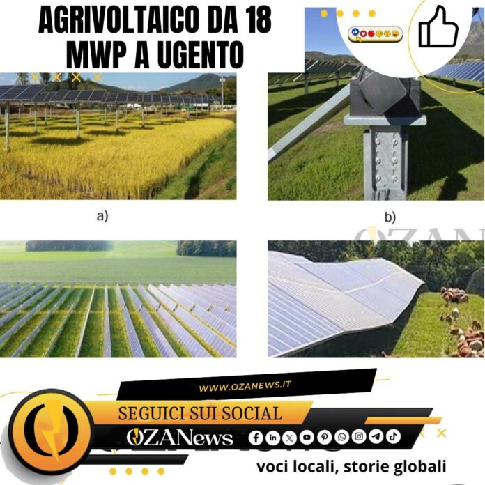 Agrivoltaico da 18 MWp a Ugento