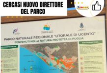 Cercasi nuovo direttore del parco