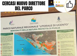 Cercasi nuovo direttore del parco