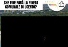 Che fine farà la pineta comunale di Ugento? Ugento's pineta comunale (pine forest) overlooks a beach with umbrellas and people.