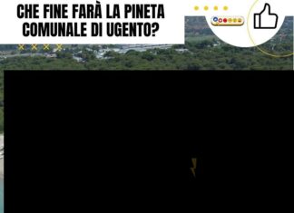 Che fine farà la pineta comunale di Ugento? Ugento's pineta comunale (pine forest) overlooks a beach with umbrellas and people.